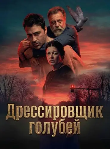 Дрессировщик голубей