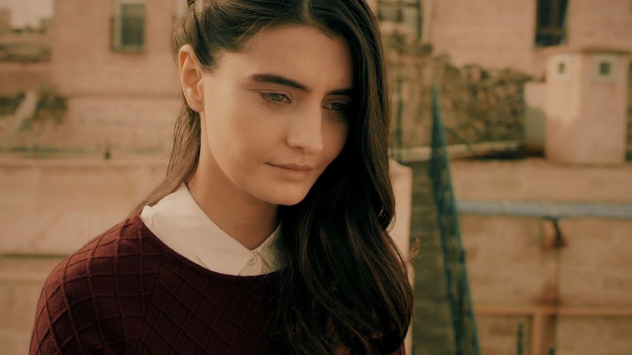Шторм ласточки