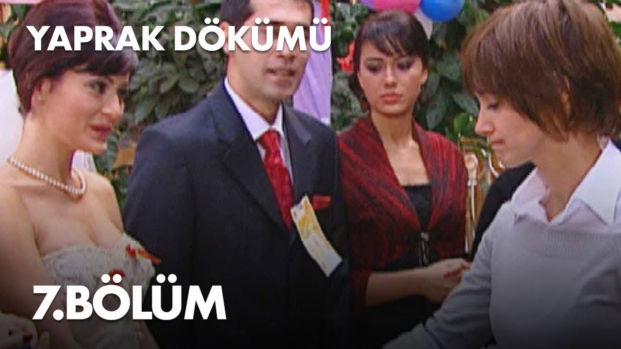 Bölüm 7