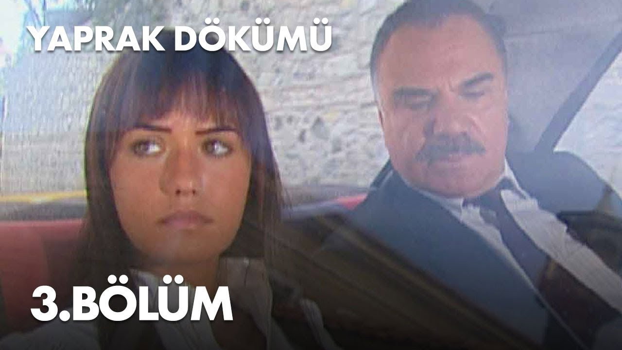 Bölüm 3