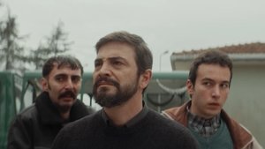 Ölünün Manzaraya Ihtiyaci Olmaz